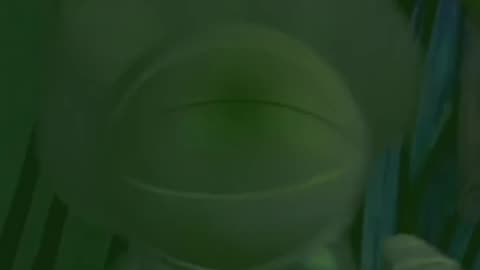 Princess Dot Farting On You