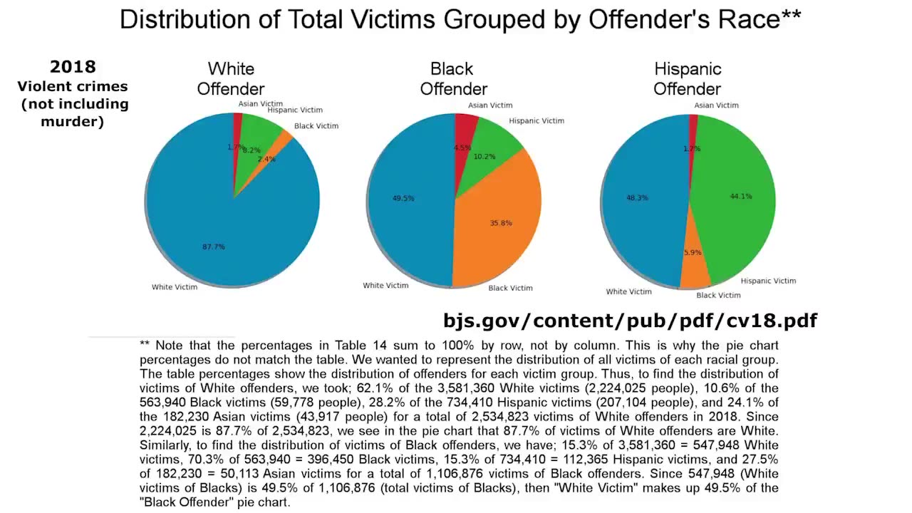 BLACK CRIME MATTERS (Emily Youcis | 2023-07-25)