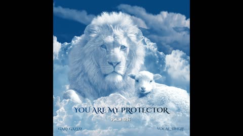 YOU ARE MY PROTECTOR – (Psalm 19:14)