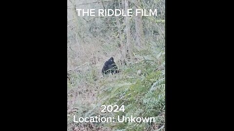 The Riddle Film