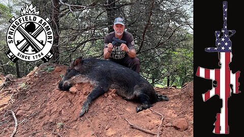 Springfields XDM Elite 10mm - Hog Hunt
