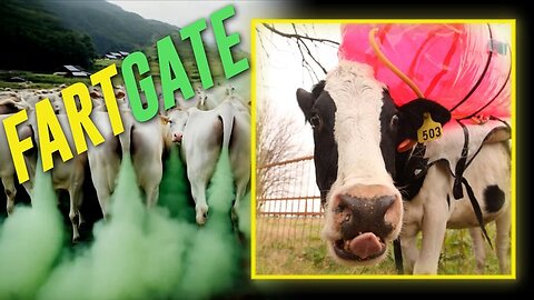 FARTGATE: DOGE Discovers $8 Million In Taxpayer Dollars WASTED On Torturing Cows Because Their Farts Are 'Bad'