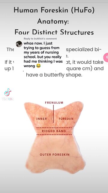 Years of nursing school