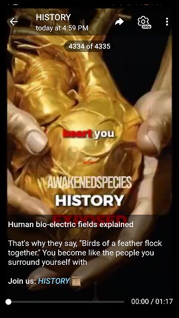 Documentary: Birds of a Feather