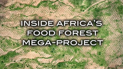 Inside Africa's Food Forest Maga-Project