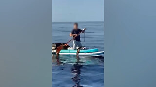 U.S. Coast Guard Intercepts Chinese Migrant On A Paddleboard Off The Bahamas