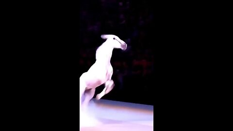 Unbelievable! Cyclist Turns into a Majestic White Horse !AGT#