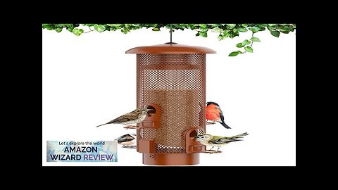 Metal Squirrel Proof Bird FeederBird Feeders for OutdoorsWeight Activated Squirrel Proof Review