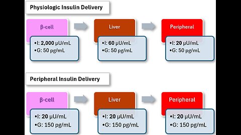 Iatrogenic Insulin Resistance - Something Your Doctor Probably Doesn't Know About