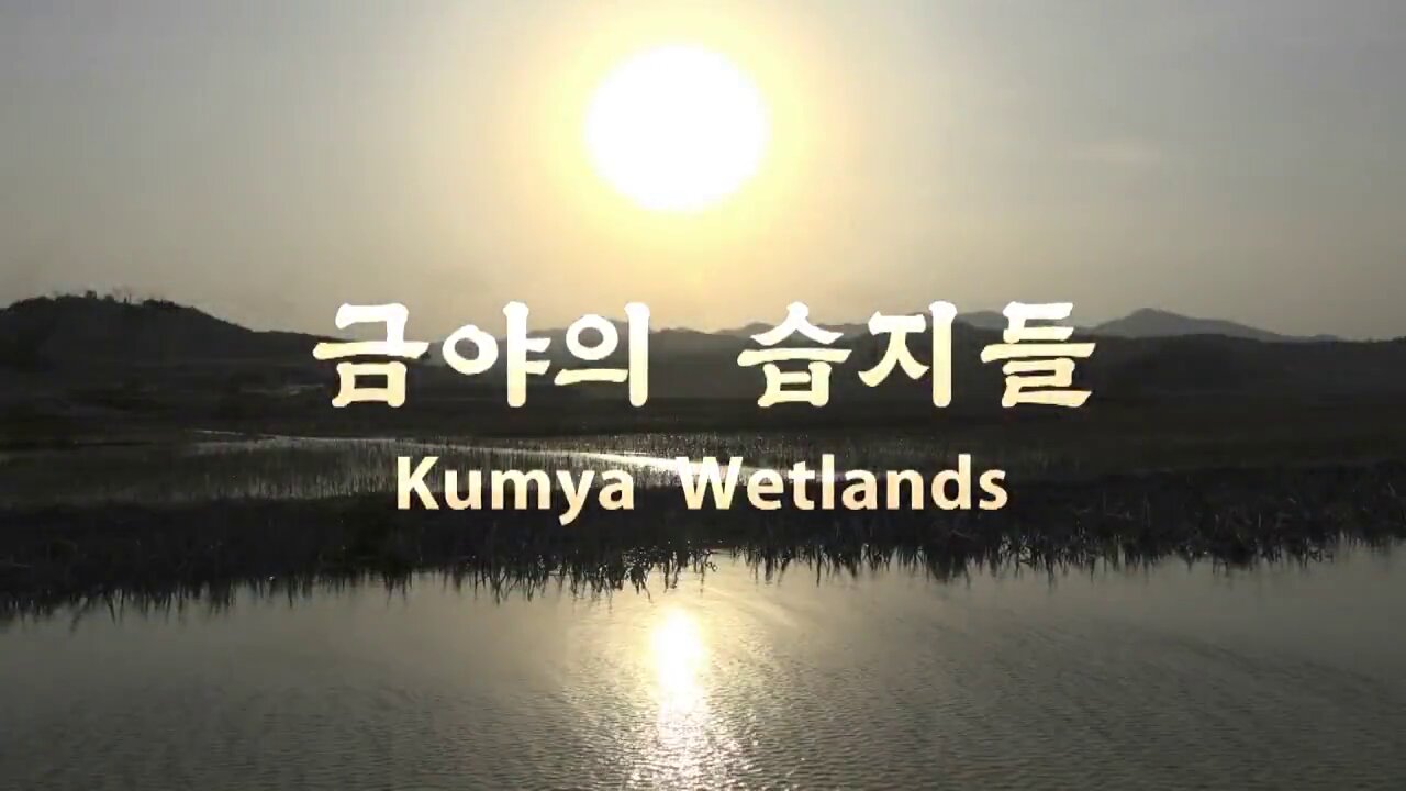 Kumya Wetlands