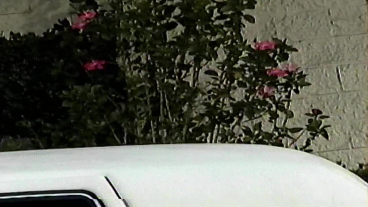 Bri_limo 02