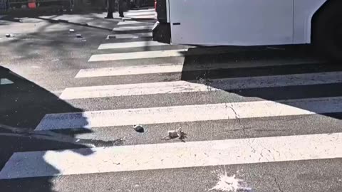 Drone gets taken down at Eagles Parade