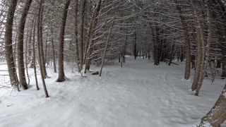 ❄️2025⛷️01-25🏂 Winter Season ⛄Hiking Hunt Club Trails Part 2 in Ottawa 🍁 Canada ❄️⛷️⛄