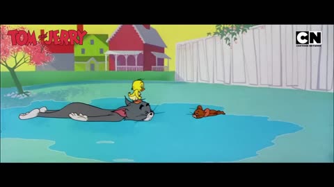 Funny Tom and Jerry's Sneakiest Escapes Ever!