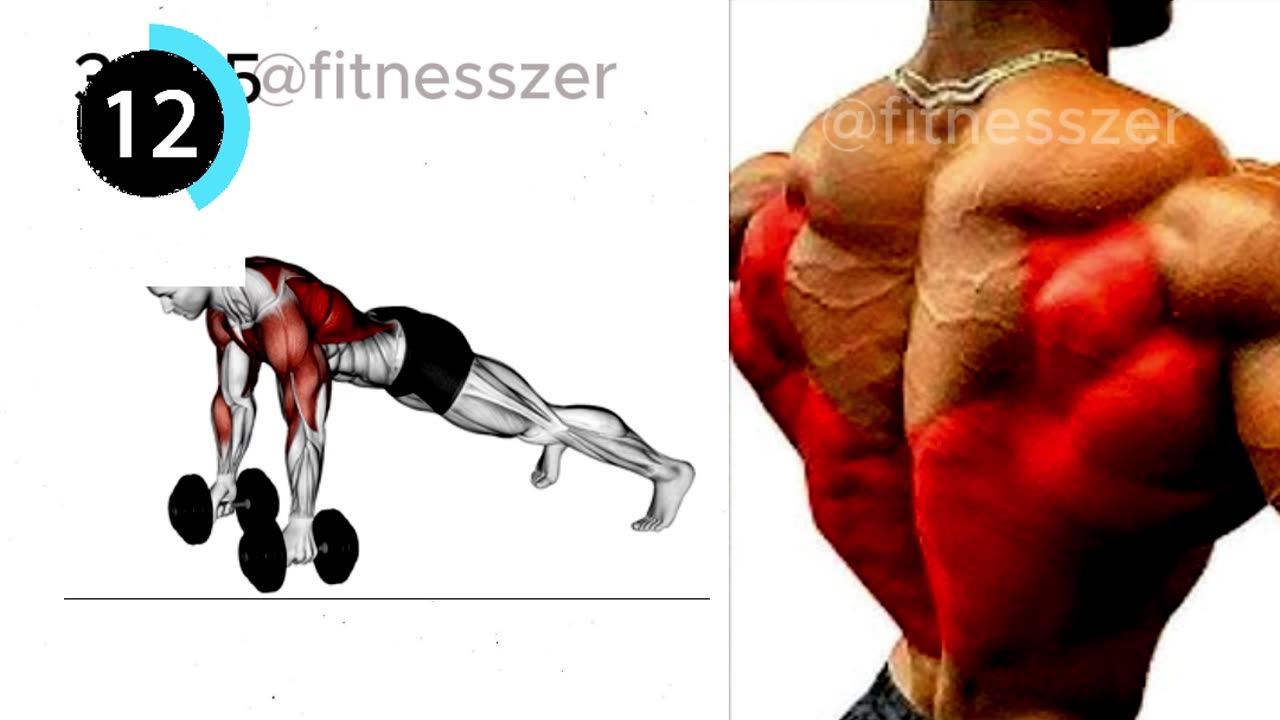 Push-Up to Renegade Row & Dumbbell Renegade Row #fitnesszer #shots #backworkout #push up #dumbbell