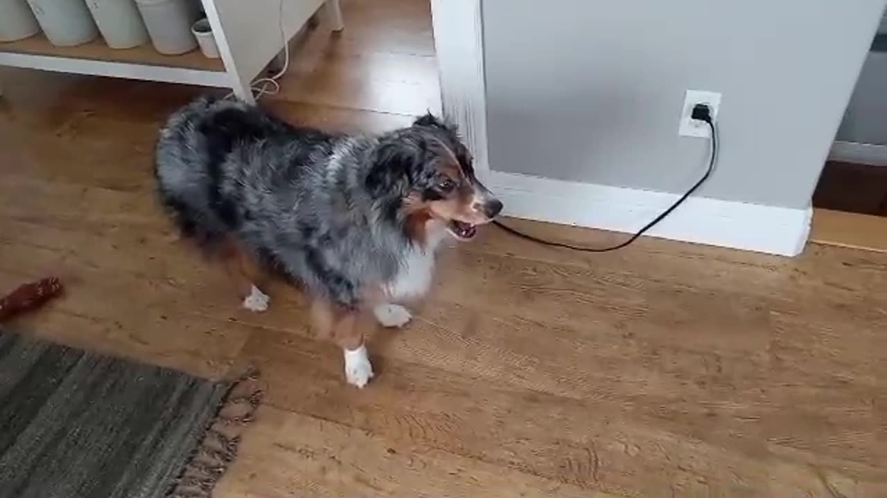 Misty Misses the Kids 2024