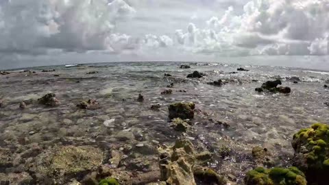 Watching the waves @Goff's Caye Belize