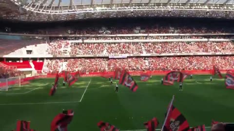 OGC Nice 'Les Aiglons'