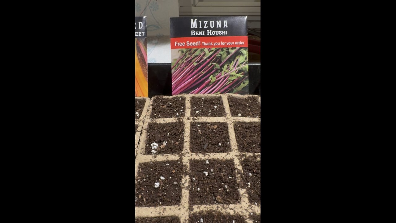 Growing food in the winter