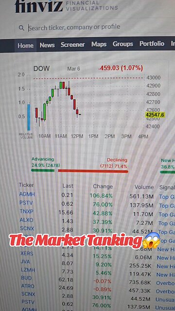 The Market Crashing📉