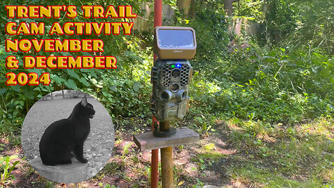 Trent's Trail Cam Activity - November & December 2024