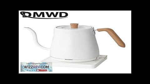 110V Electric Drip Coffee Kettle Stainless Steel Teapot Precise flow control Hand Review