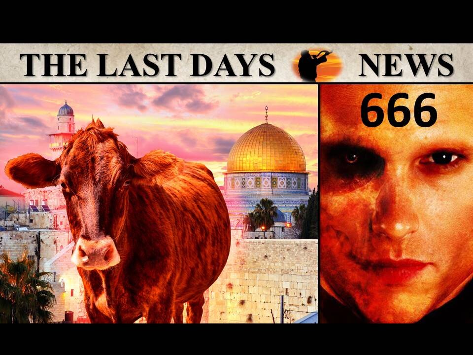 Prophetic Anticipation Builds: Red Heifer-Third Temple and the Antichrist to Come on the World Scene