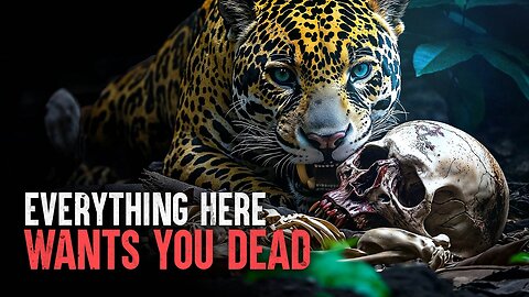 South America's Deadliest Animal Attacks: Nature's Most Terrifying Encounters