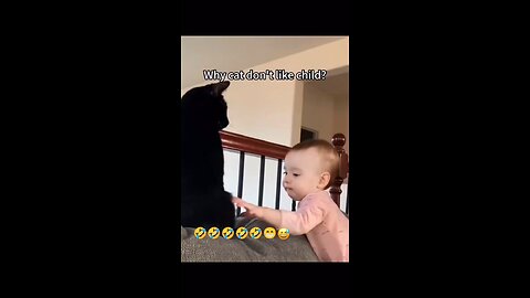 cats don't like kids!!!