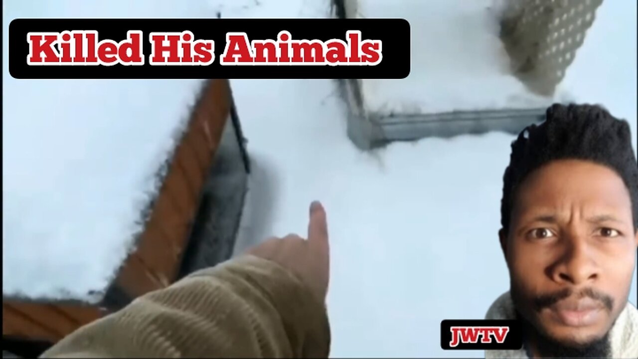 JWTV: Murderous Fog! What Potentially Killed His Animals... #VishusTv 📺