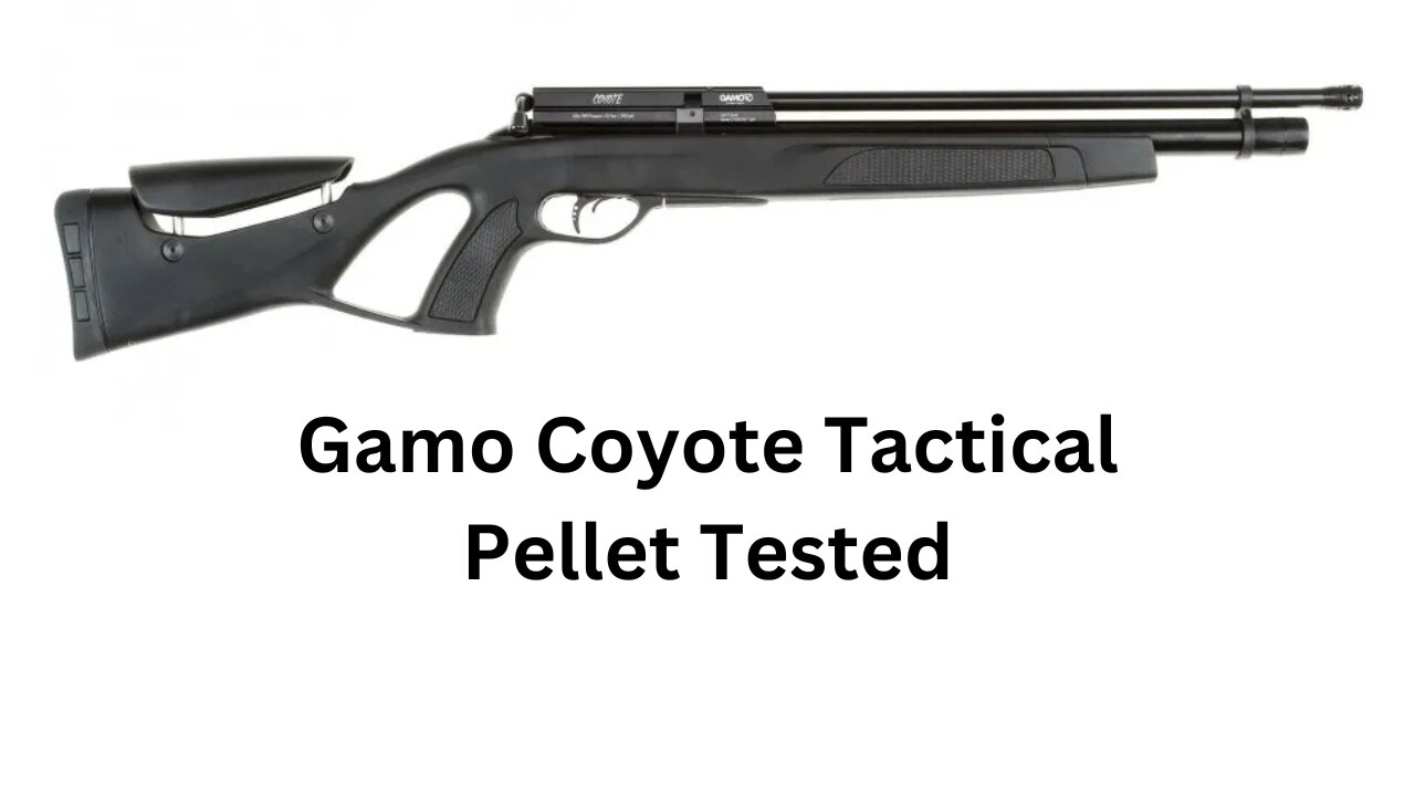 Gamo Coyote Pellet tested