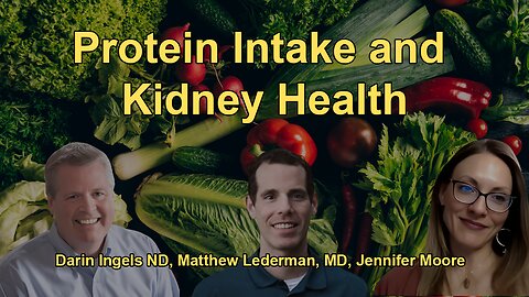 The Relationship Between Protein Intake and Kidney Health, Advising on Plant-Based Diets