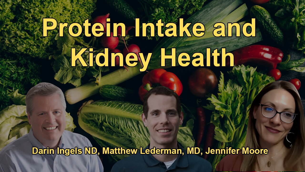 The Relationship Between Protein Intake and Kidney Health, Advising on Plant-Based Diets