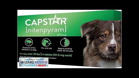 Capstar (nitenpyram) for Dogs Fast-Acting Oral Flea Treatment for Dogs over 25+ Review