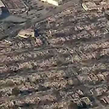 Total Devastation: Aerial View of California Wildfire in Pacific Palisades