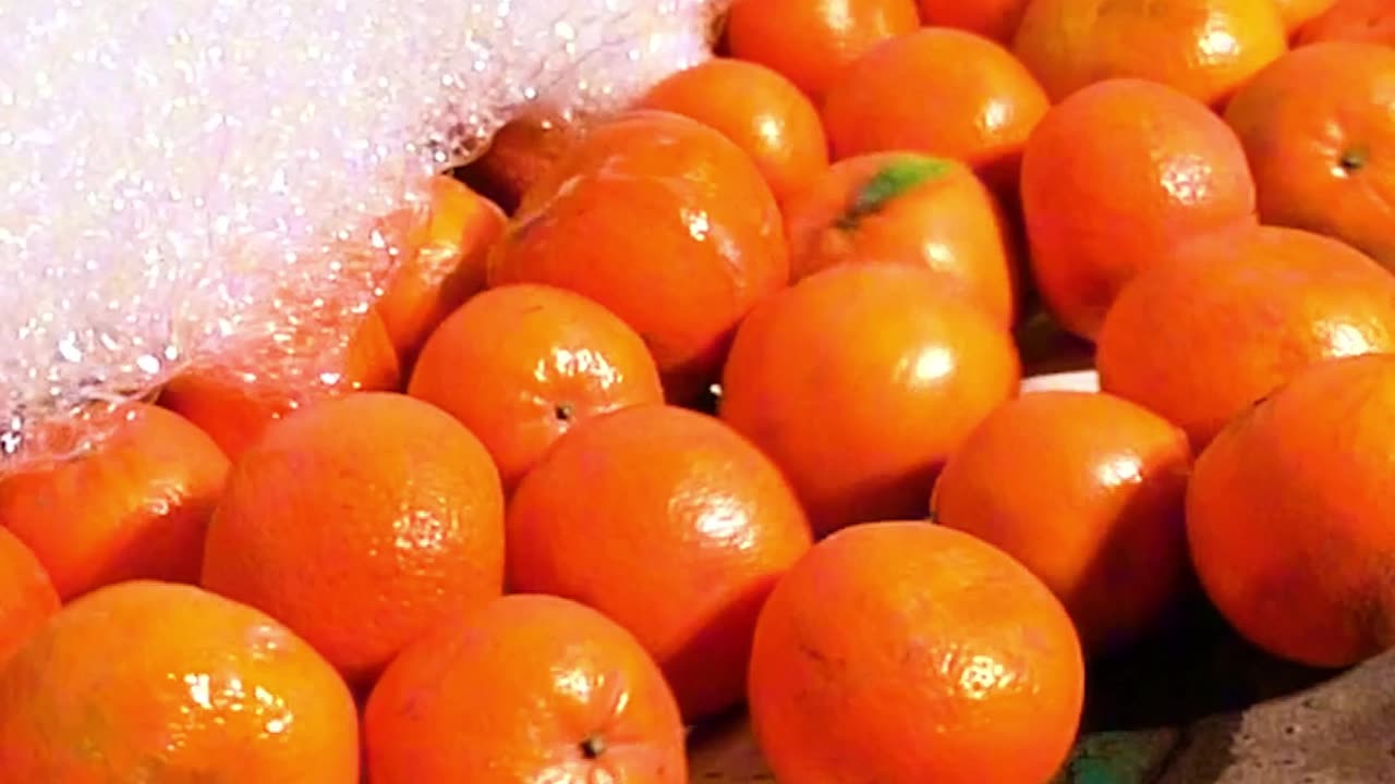 How Oranges Travel from Farm to Your Table