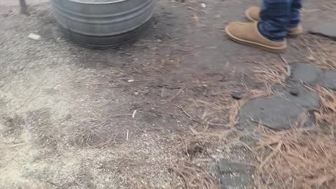 Drying out unseasoned firewood