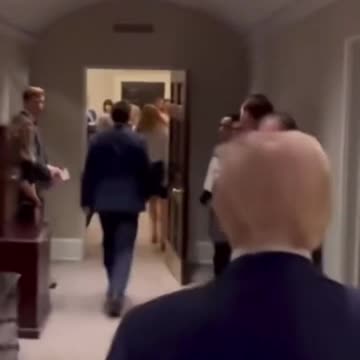 Attractive Donald Trump's back.