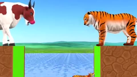 Knowledge vs Money? With Cartoon Cow vs Tiger What Do Choose?