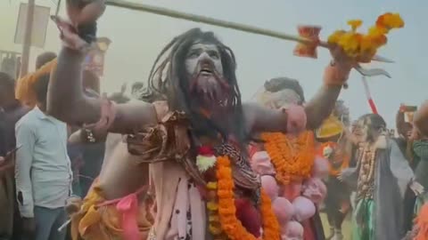 dance of Naga Sadhus in Maha Kumbh