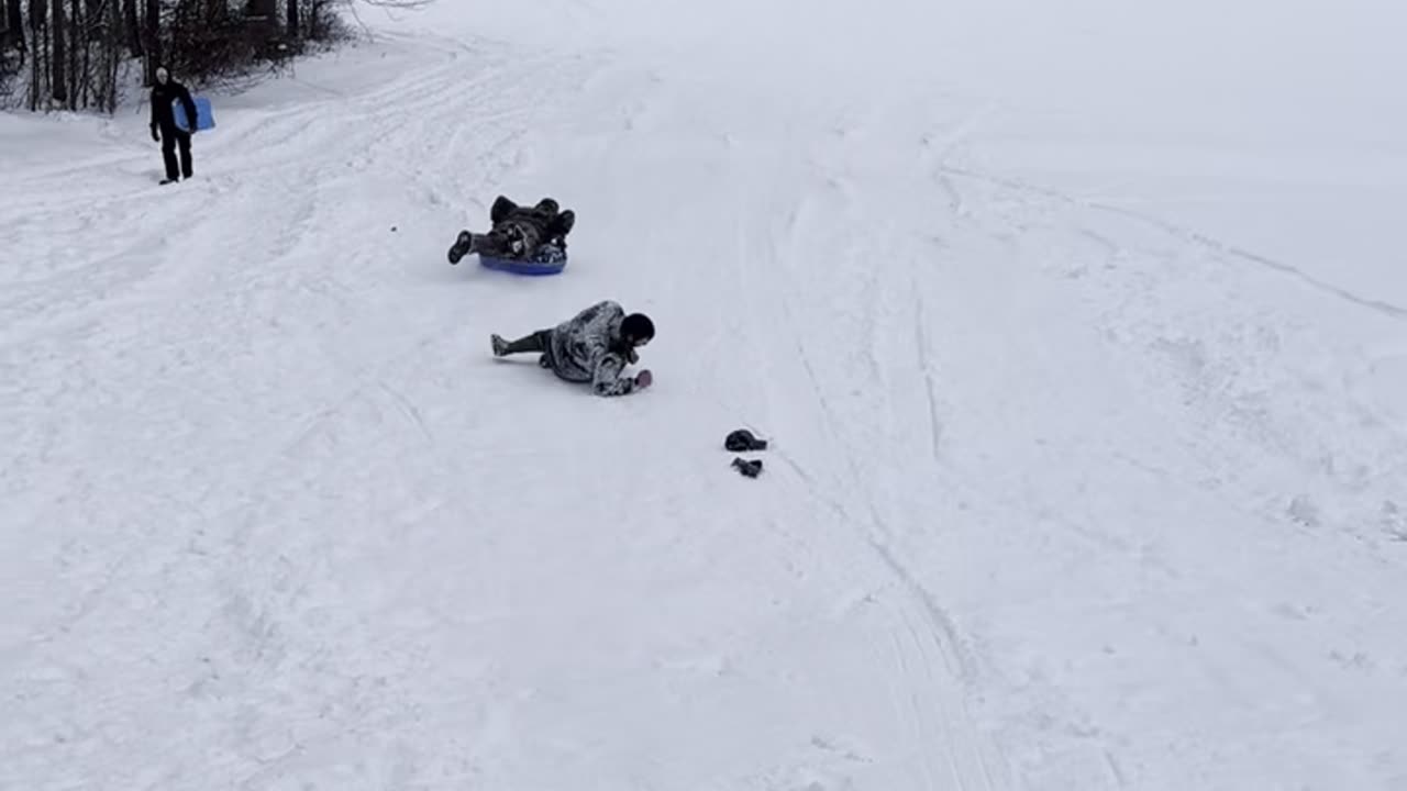 Falling Down Chasing A Sled