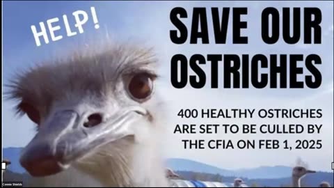 Volunteer Orientation - Save Our Ostriches