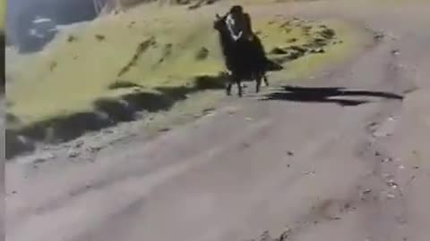 🎯 This kid in the Peruvian Andes