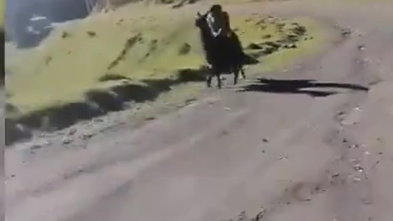 🎯 This kid in the Peruvian Andes