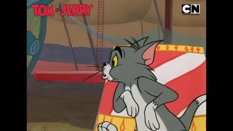 Tom & Jerry 😺🐭| Nibbles’ Diwali Surprise for Tom! | Cartoon for Kids | #diwalispecial