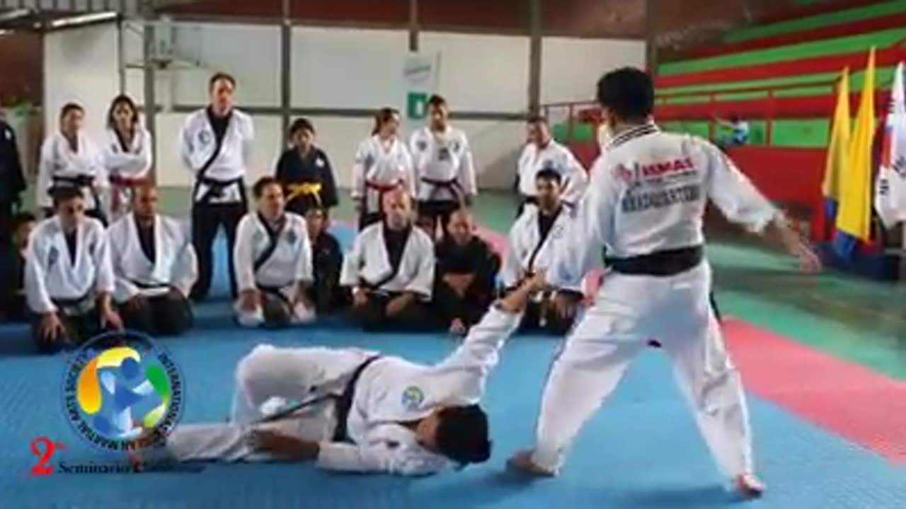 Hapkido
