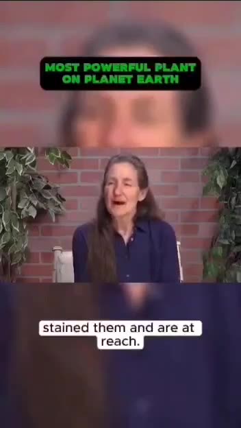 EXCLUSIVE VIDEO: BARBARA O’NEILL REVEALS THE POWER OF MORINGA 🌿