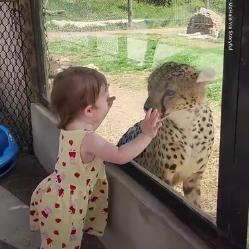♥️ The Heartwarming Bond Between an Adorable Little Girl and a Cheetah