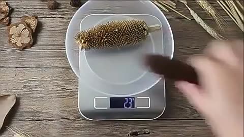 Kitchen Digital Scale Multi-function Portable Weighing Scale