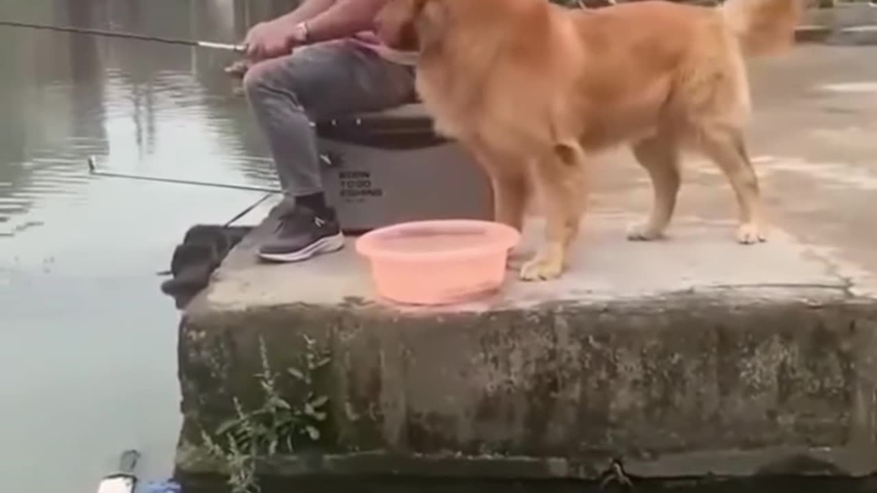 Oopsy!